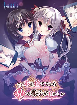 エロ本を捨ててから兄の様子がおかしい 封面