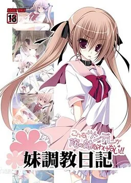 妹調教日記～こんなツンデレが俺の妹なわけない!～ 封面