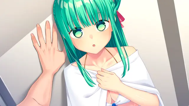抜きゲーみたいな島に住んでる貧乳はどうすりゃいいですか？ 2 截图 16
